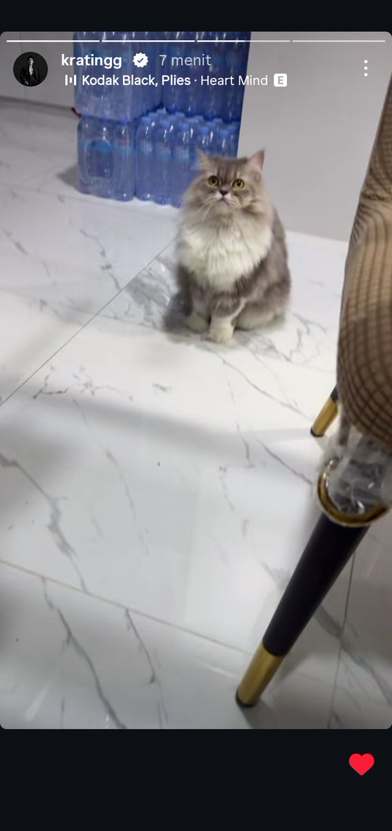 leayvee's tweet photo. krating malmingan di rumah nicha, secara harfiah berarti mereka ciuman brutal https://t.co/5kOTJIgfIY