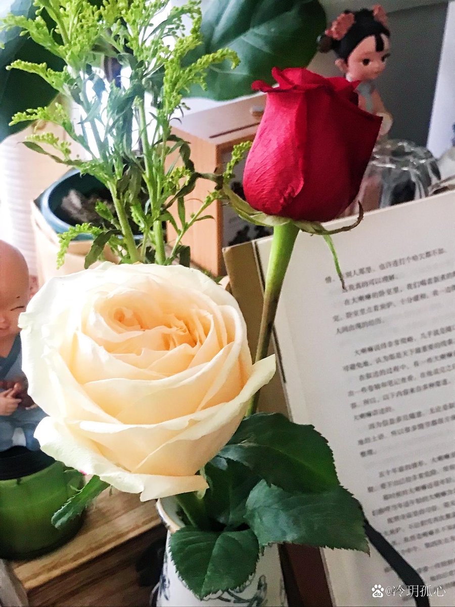 ShandaAmstfyd's tweet photo. Just curled up with a warm latte and a good book on a rainy Sunday—this is the perfect kind of lazy, cozy vibe to recharge ， https://t.co/xFATHYBzju