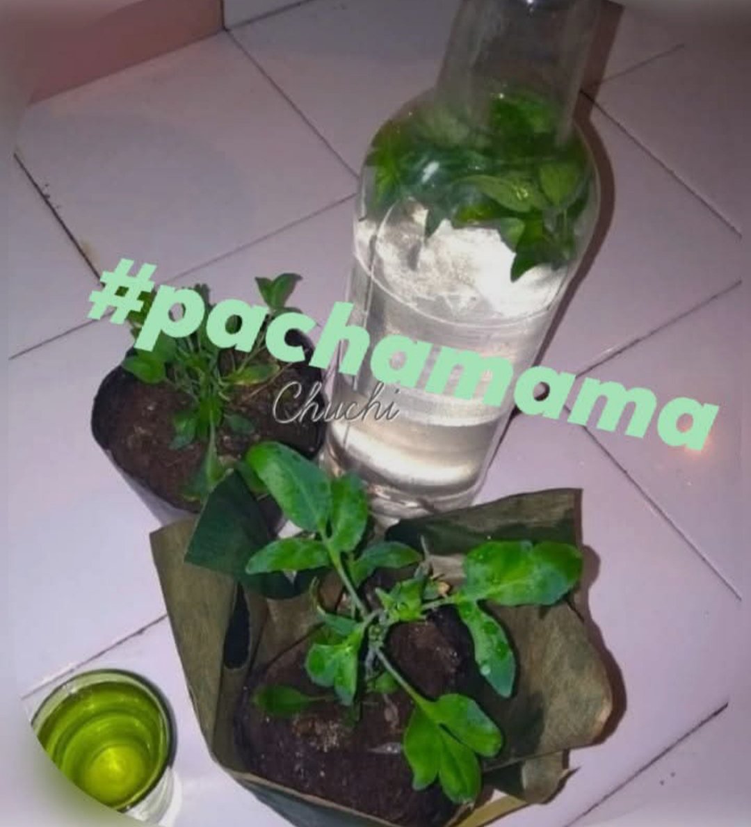 Ela_Chuchi's tweet photo. Feliz día de la #pachamama https://t.co/SUblfCipFd
