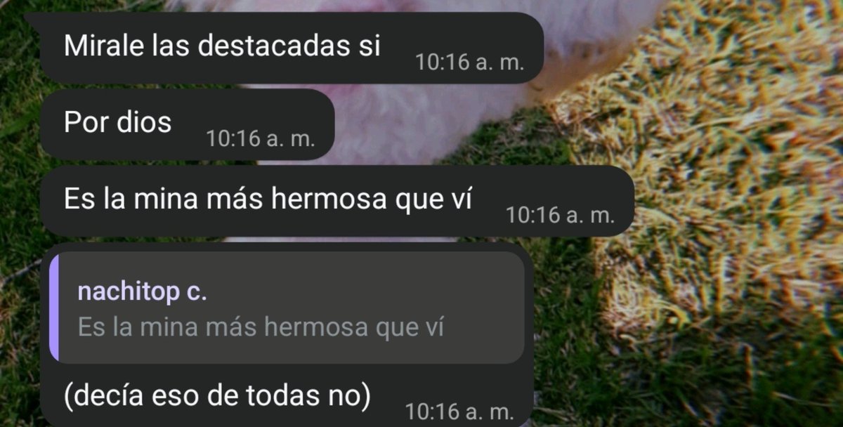 _daiannnn4's tweet photo. Ese amigo recién separado que chorrea leche por todos lados 🙏 https://t.co/sTo8Fe7TOh