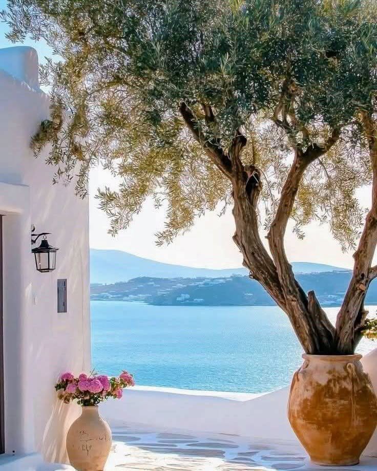 GorselSl's tweet photo. Beautiful day! 🌿🌸🌸
  🩵  #HappySaturday https://t.co/rWlD8BP6X8