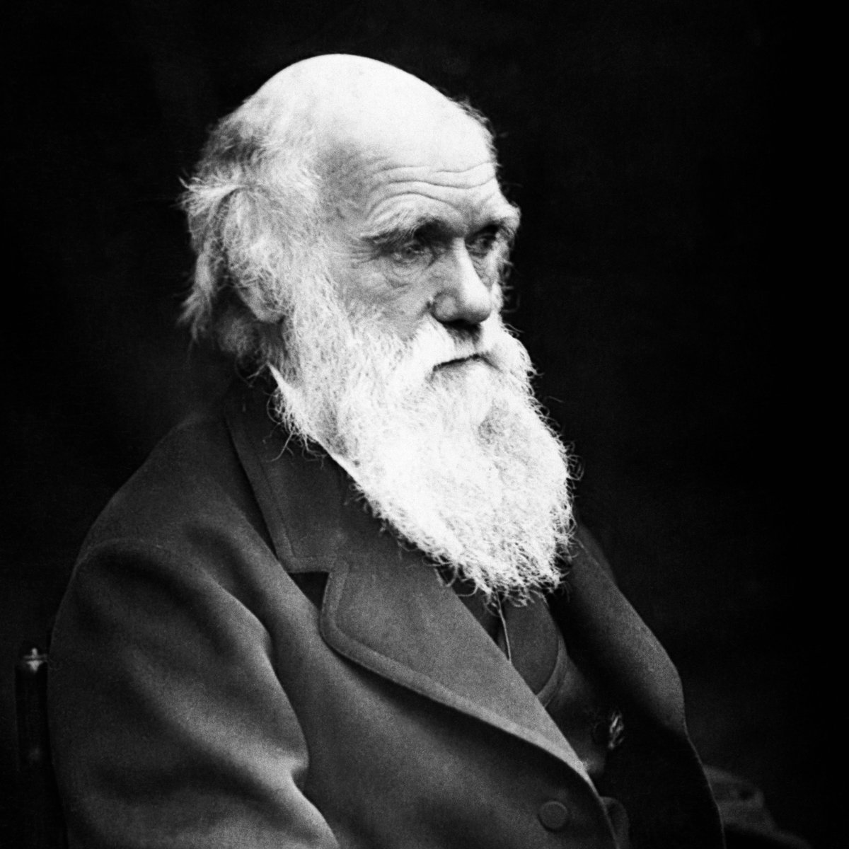 Naturalphilosy's tweet photo. “A man who dares to waste one hour of time, has not discovered the value of life.”

— Charles Darwin https://t.co/qXsBop7Nmg