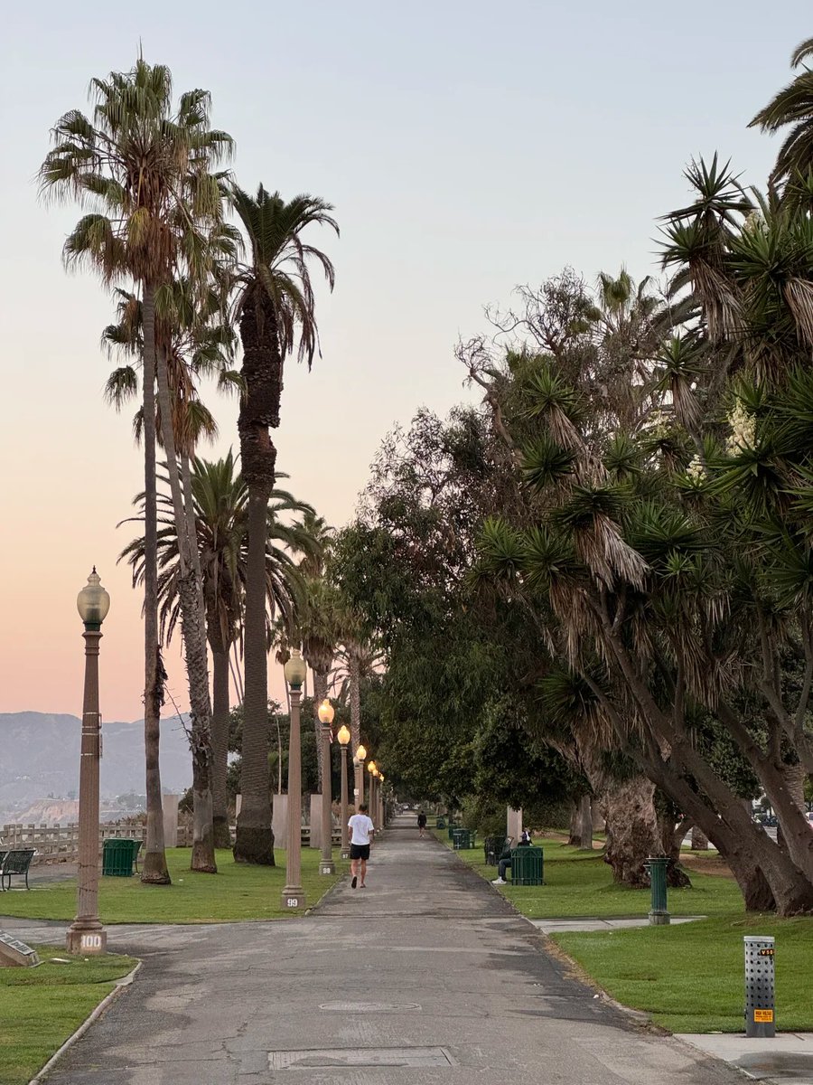 zianditto's tweet photo. Some paths, as you walk them, become poetry, like this Los Angeles morning. Like the heartbeat of the Pacific Ocean I'm sharing with you right now 😊 https://t.co/LE06O5kIll