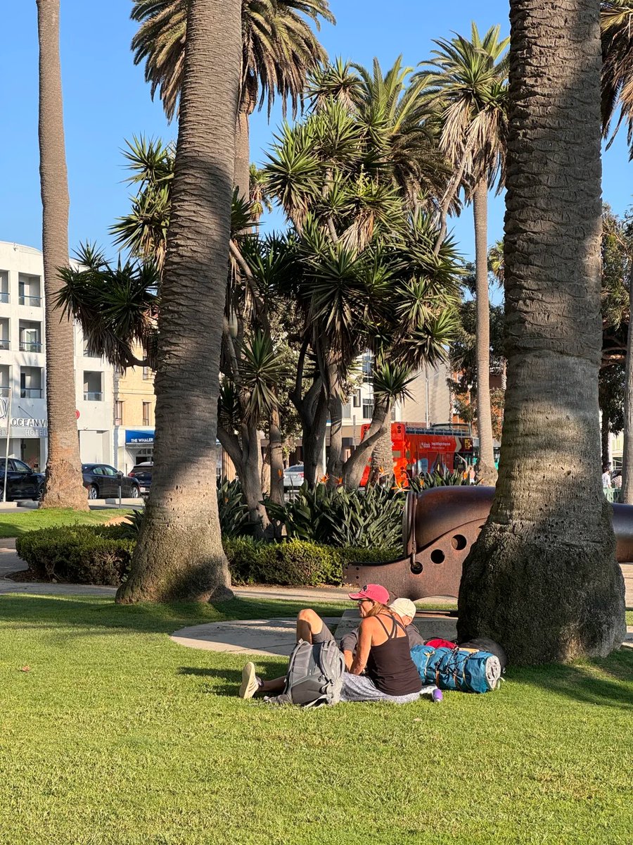 zianditto's tweet photo. Some paths, as you walk them, become poetry, like this Los Angeles morning. Like the heartbeat of the Pacific Ocean I'm sharing with you right now 😊 https://t.co/LE06O5kIll