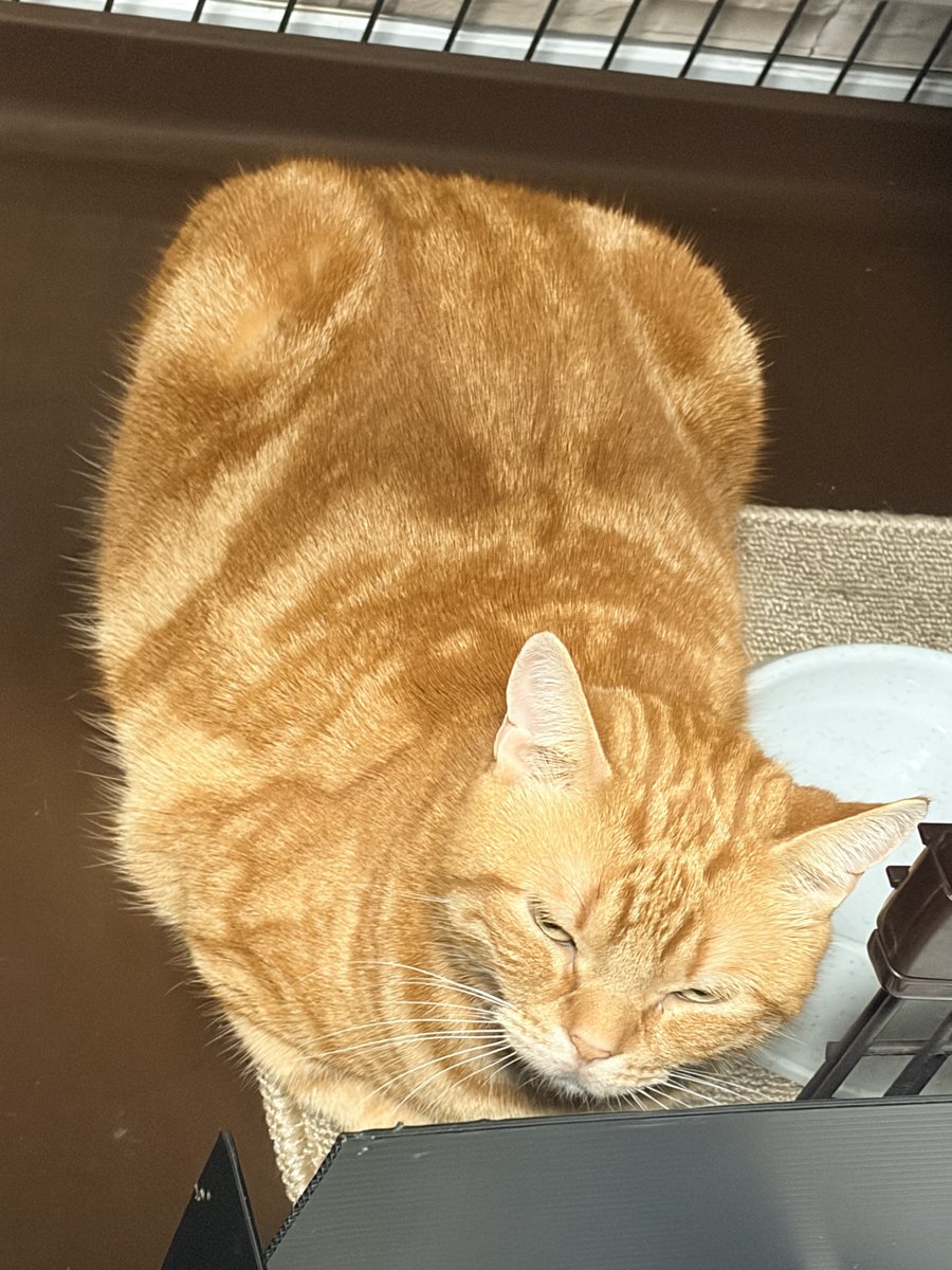 Purp1eKey's tweet photo. 🍞 https://t.co/MuAPbLhlYo