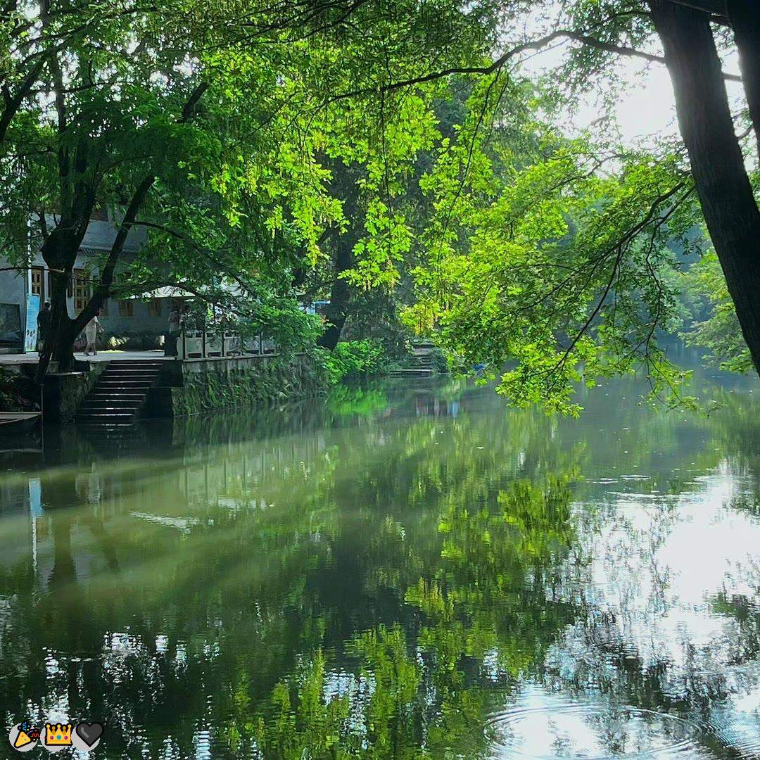RoseWolf476799's tweet photo. 😀文援🍀自慰👏日常大赛😄固聊🎉剧情💖师生💝御姐🍀性瘾🌈恋母😎手冲🥰扣水🥰湿身🌸潮喷😄窥阴🎉肉便器✨羞耻🍀淫妻🎉滴蜡🤩灌肠😆玉足

企鹅裙：1818089
飞机：zuoyi1v1
裸聊/连麦/文爱/调教/寸止 https://t.co/0ESCe3Mudc