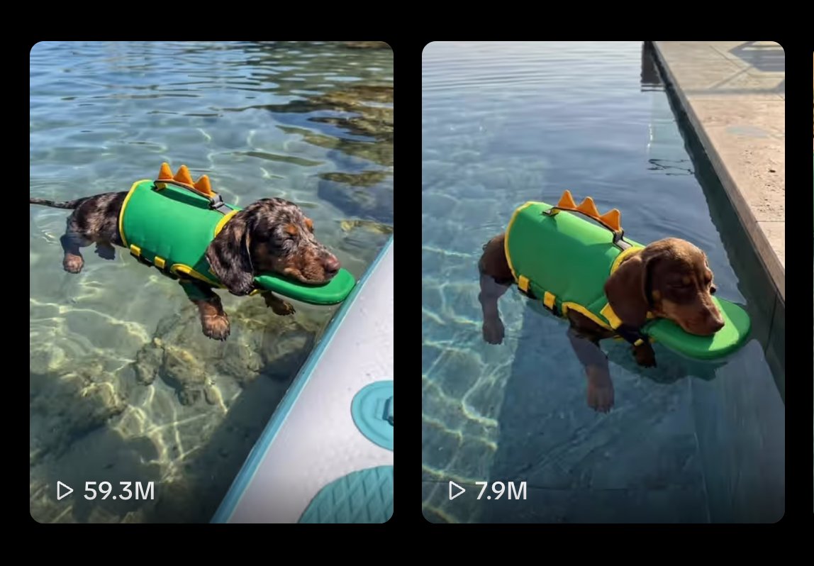 jaeseem's tweet photo. GUYS I THINK I FOUND THE FIRST BRAINROT ANIMAL RUNNER:
https://t.co/W1eIHhXYkN

https://t.co/eUS7dCJ1v8

So videos of this AI dog "Milo" going soo viral with over 70M+ views less than 2 days

Most liked comment is literally "Milo Crocodilo" with 500K+ likes https://t.co/C2N0OvH8Ga