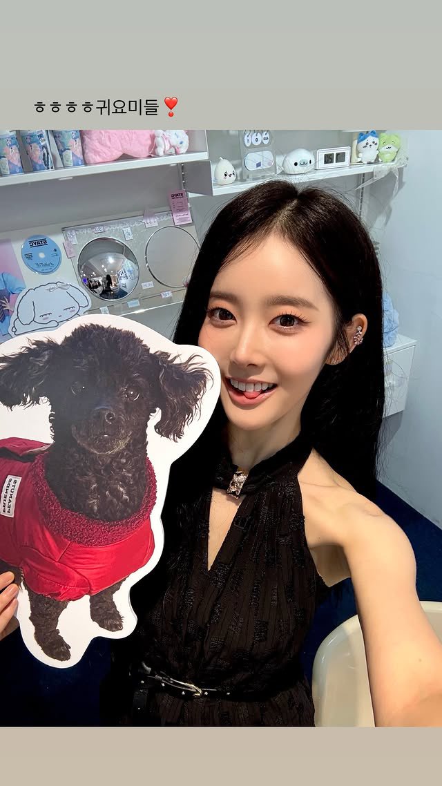 swithcafe's tweet photo. hermesieunn instagram story update 
#SIEUN #시은 https://t.co/YdcUuYo9Gw