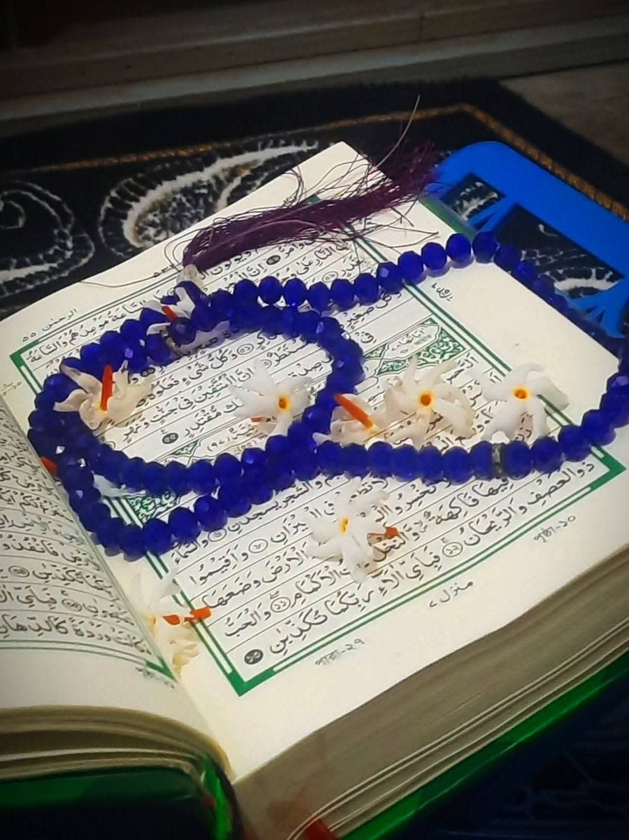 📗হিদায়েত 📕 tweet media