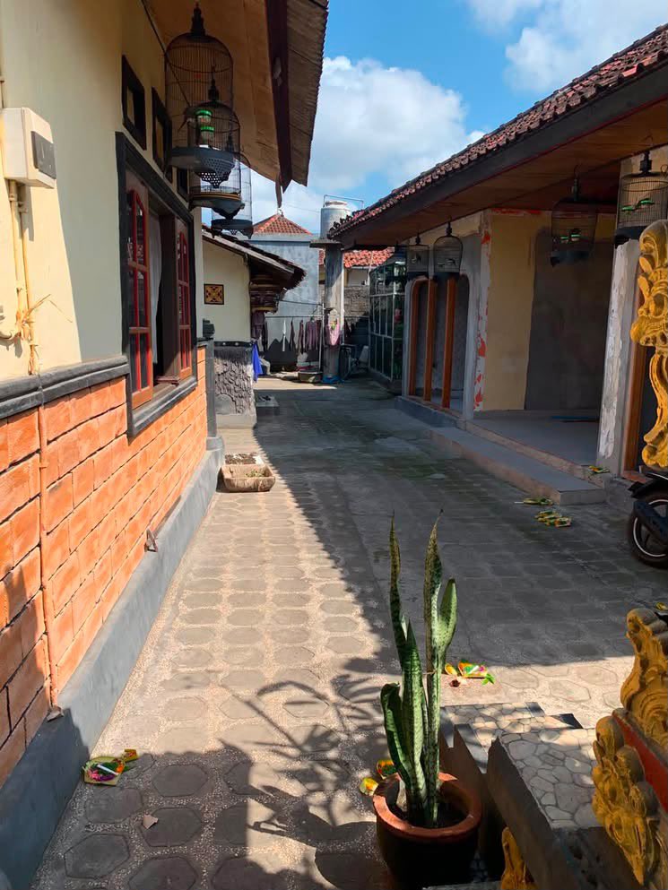taaan .☘︎ ݁˖ tweet media