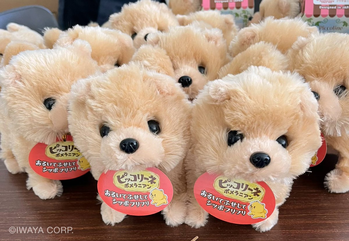 Iwayacorp1923's tweet photo. こんやのおやすみとうばんは
このコたちです🐶

ここからみてるね
おやすみなさい https://t.co/BEPtflpnwg