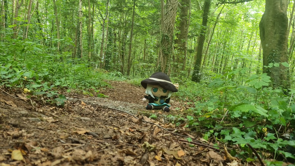 HmsHood473508's tweet photo. Koishi went on a Mind Boggling Adventure today! https://t.co/WO8BZLA8uH