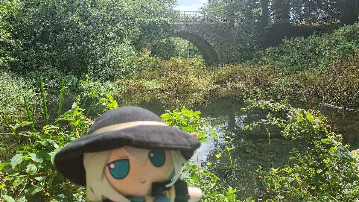 HmsHood473508's tweet photo. Koishi went on a Mind Boggling Adventure today! https://t.co/WO8BZLA8uH
