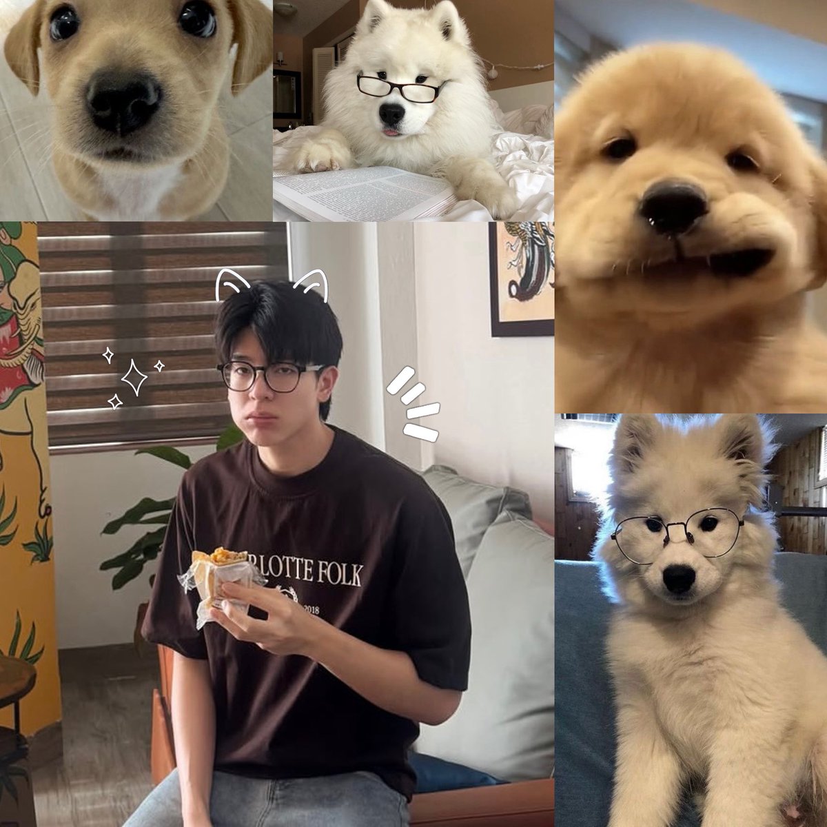 Preawakira's tweet photo. พายเราขอโทษนะ แต่เราว่ามันใช่55555

#pie_saran https://t.co/vUx6hbQv0z
