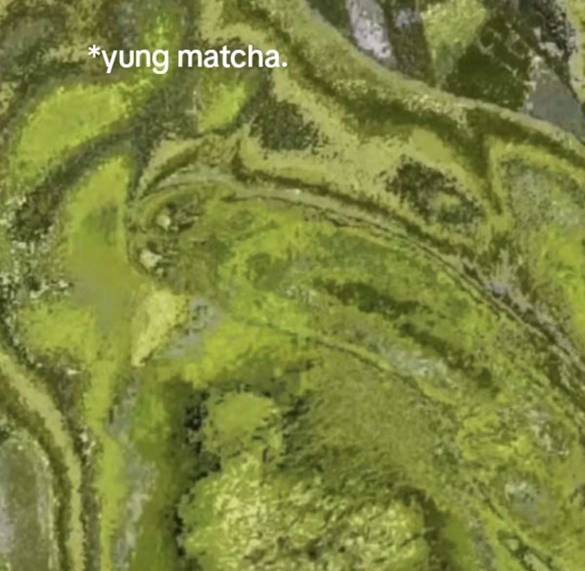 zixin1212's tweet photo. You want matcha?? https://t.co/xobuHVu3BY