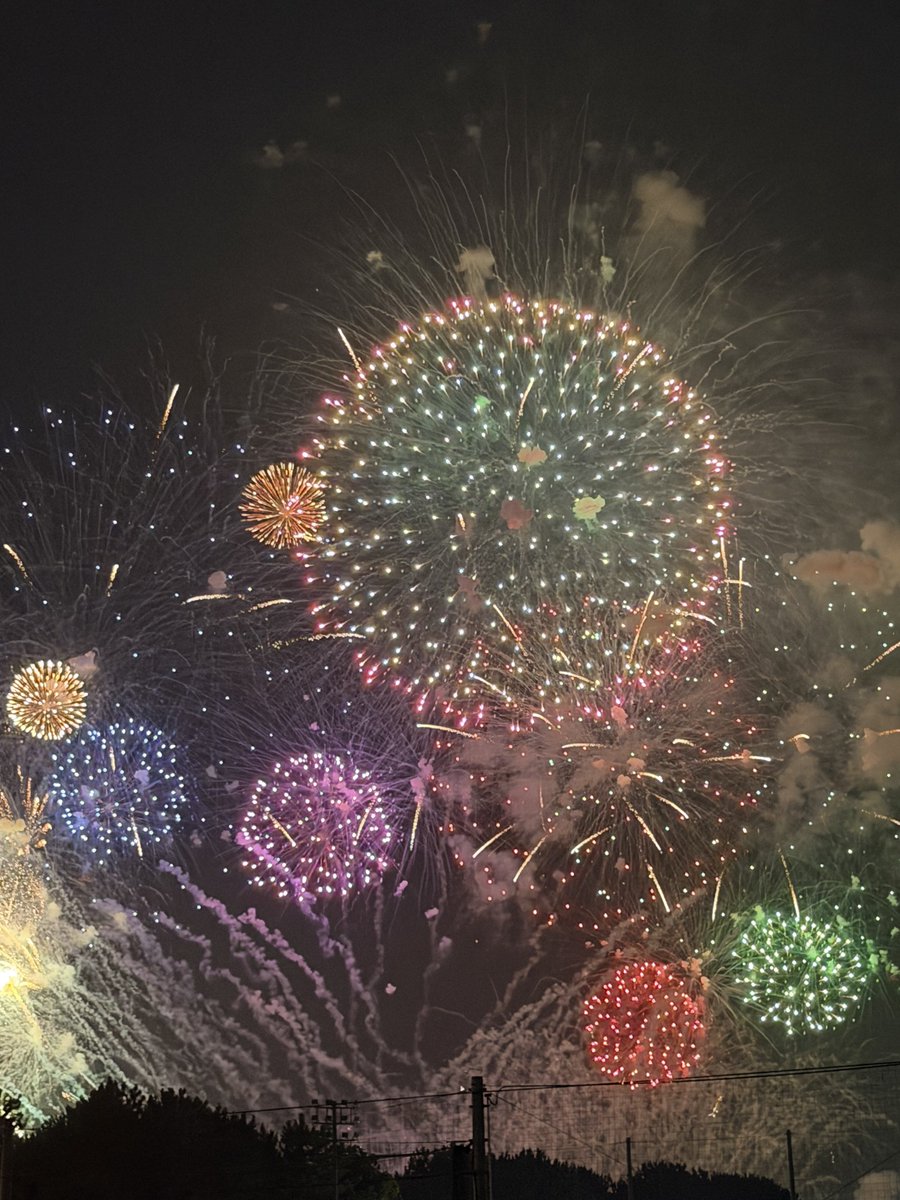 Skz_0_0's tweet photo. 今年も幕張の花行ってきた！！ https://t.co/YN9hZbIKTF