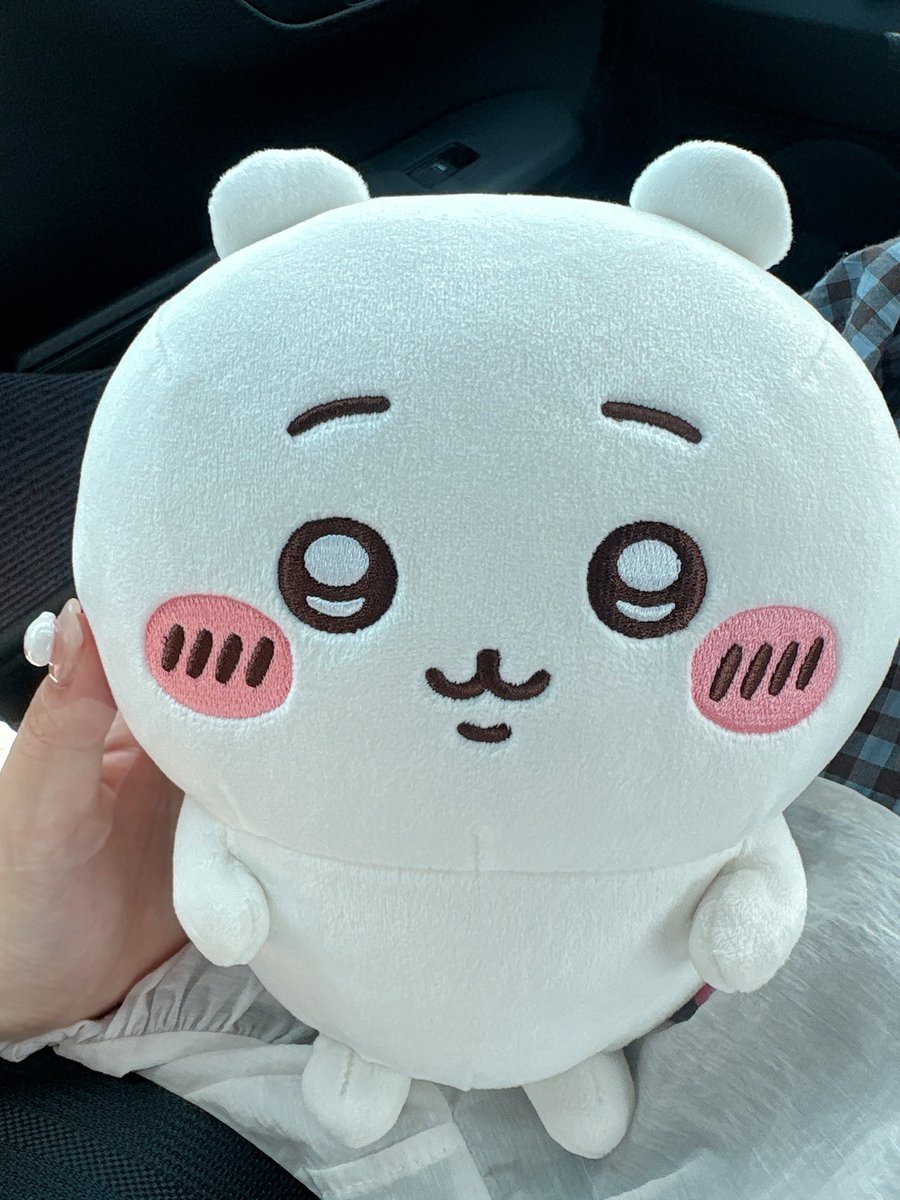 chiiihachi32's tweet photo. こちらが世界一可愛い子でございます💁🏼‍♀️💗 https://t.co/fxweoD4LSr
