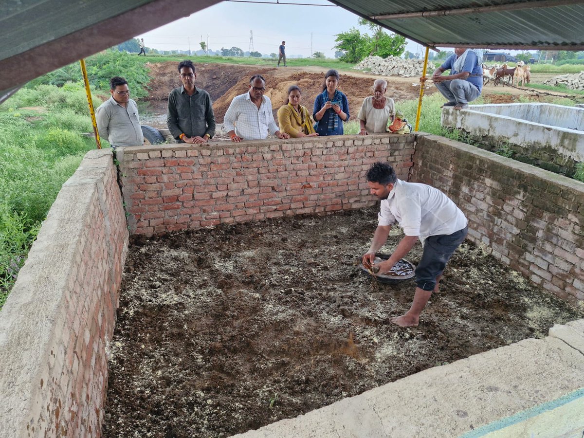 dproetawah's tweet photo. जनपद इटावा के विभिन्न ग्राम पंचायतों के गौशालाओं में घनजीवामृत प्राकृतिक खाद का निर्माण/उत्पादन कराया गया। @CDO_ETAWAH @DmEtawah @uppanchayatiraj https://t.co/US4X7HcBzP