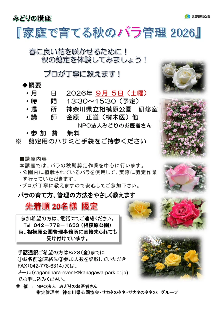 臨床工学講座　バラ売り可 相模原公園 on X: 