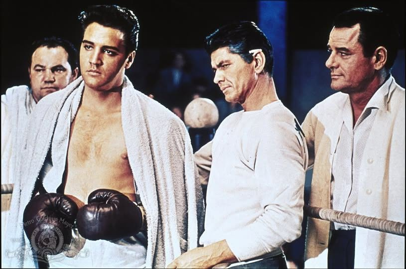 20th Century Boxing: Icons, Memories & More tweet media