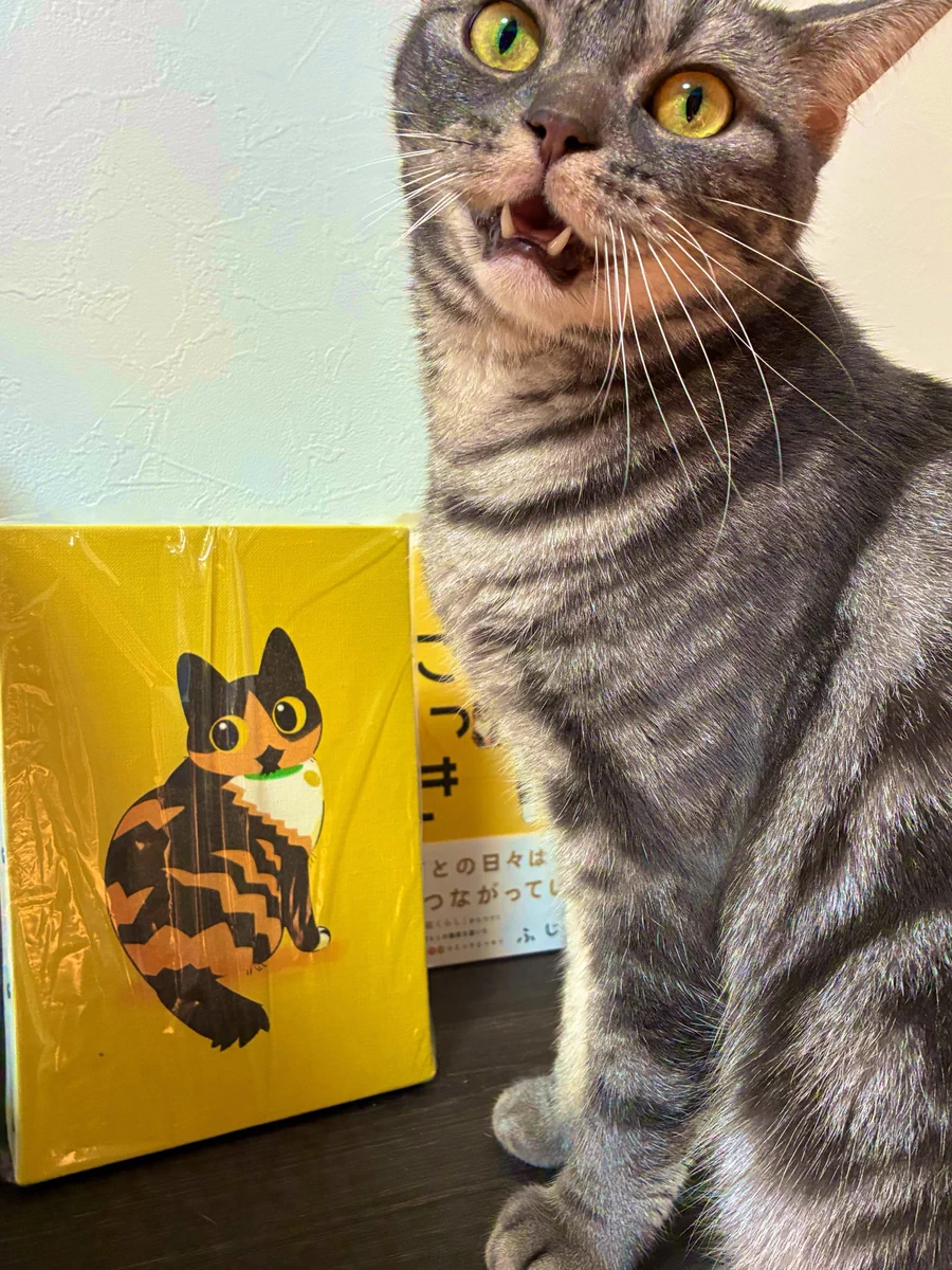 昼猫@プロフ必読♡ Reposts by ふじひと🐾ひび猫5/20発売 (@delpilot) / X