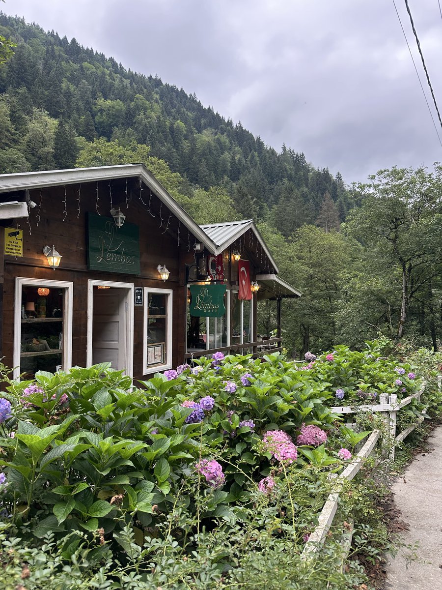 llobca's tweet photo. 👩‍🌾 https://t.co/9cuc8R9EHP