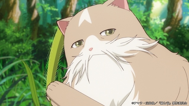 animatetimes's tweet photo. 『#猫と竜』第6話「猫じゃらしの夜」のあらすじ＆先行場面カット＆予告映像が公開！（画像6枚）

#nekoryuu

https://t.co/FbhmQDabl7 https://t.co/WyvetdnQWc