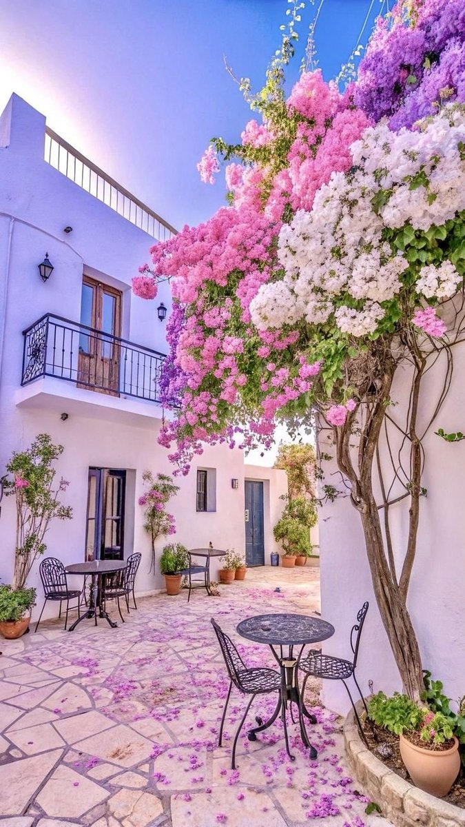 TravelBucketX's tweet photo. Malaga streets, Spain 🇪🇸 https://t.co/a4DkesjkVM