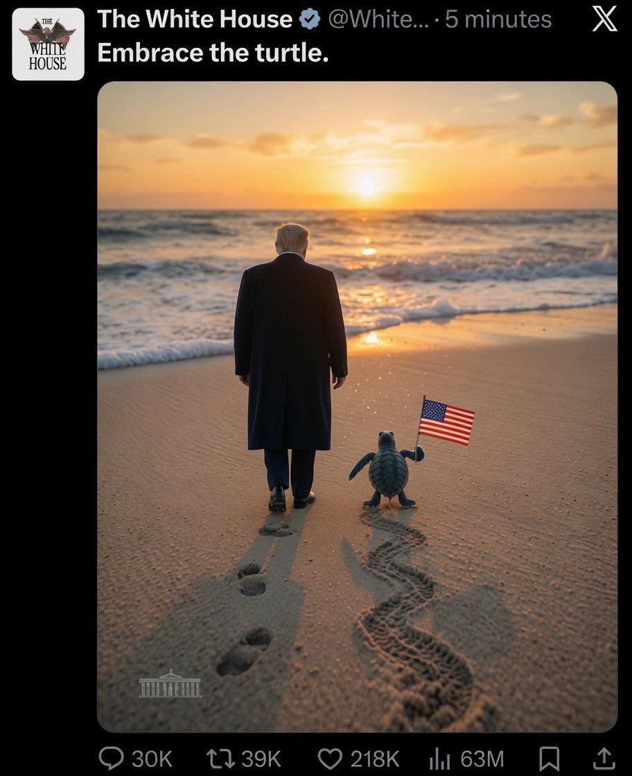 unknown_xbt's tweet photo. Imagine fading solana:3aqXuwp6HuVXs9vdD9Gpg4dzJaUx443RjK7GXzphpump at a generational bottom and then seeing the @WhiteHouse post our lil turtle grit… https://t.co/7hOKwRTEsx