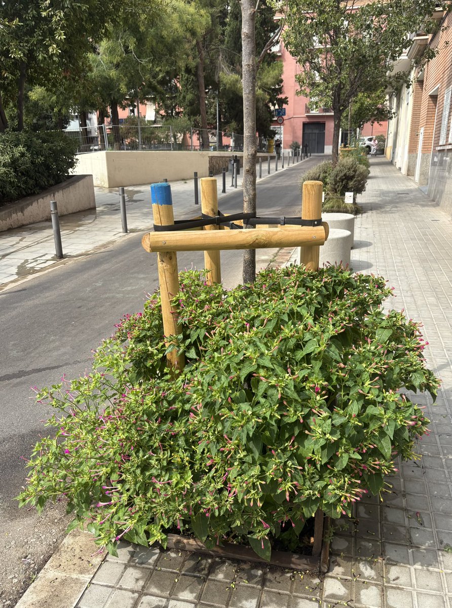 DanielSererols's tweet photo. Els de l’@avplacafarga (@FederacioVeins) #FemBarri cada dia.

#LaBordeta #Sants #Escocells https://t.co/YLJVKUkH6U