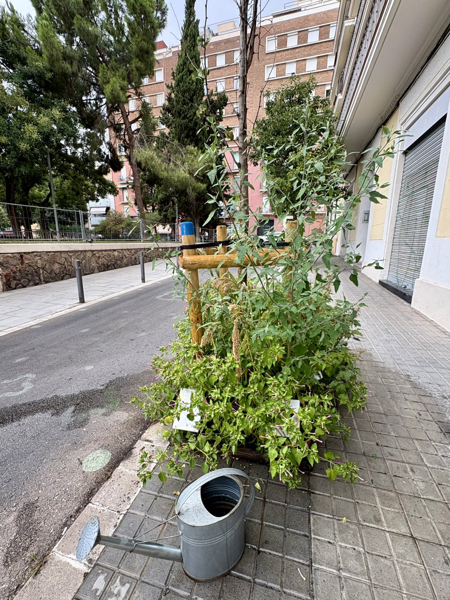DanielSererols's tweet photo. Els de l’@avplacafarga (@FederacioVeins) #FemBarri cada dia.

#LaBordeta #Sants #Escocells https://t.co/YLJVKUkH6U
