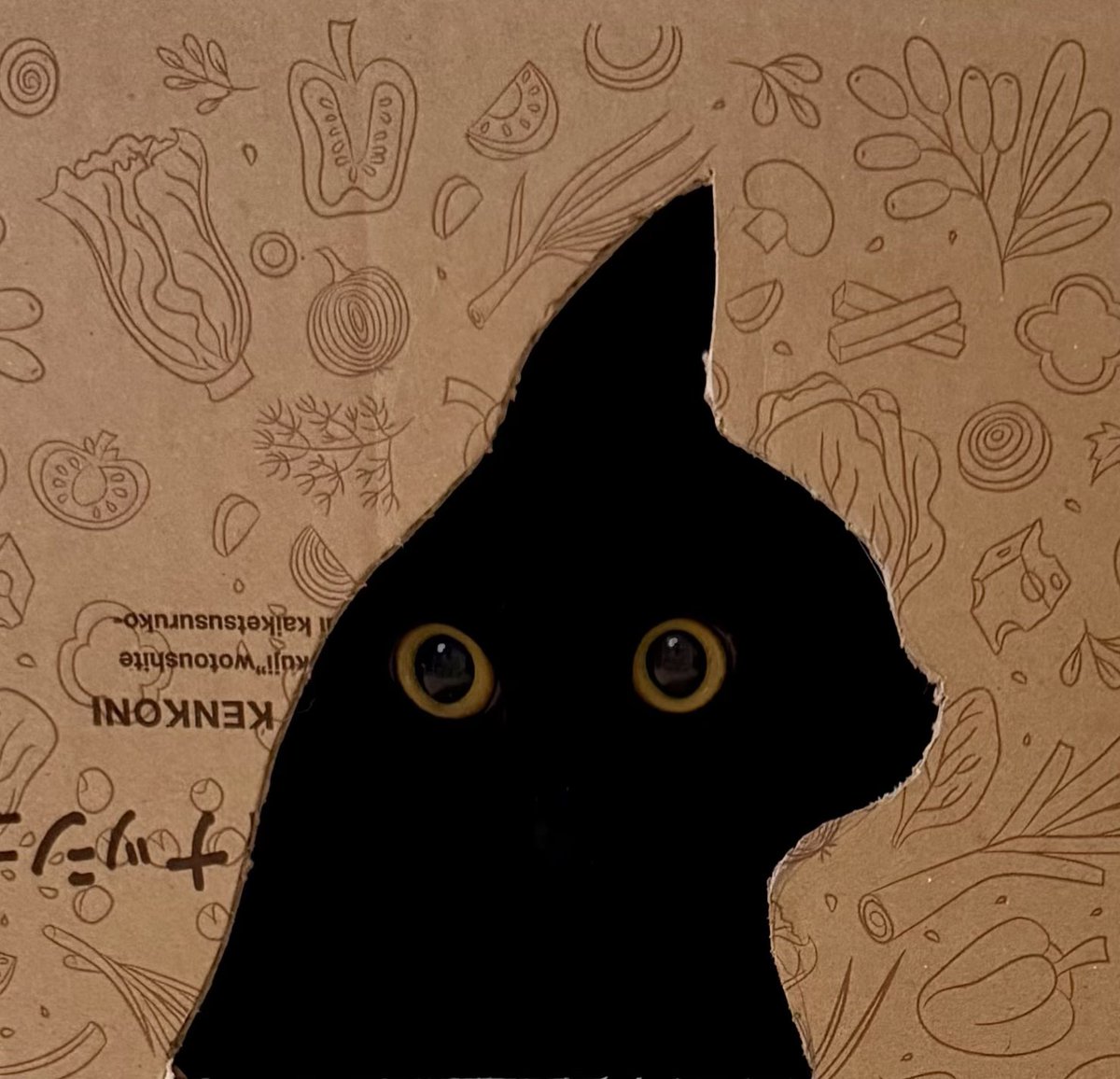 Teagle_Noir's tweet photo. ピカソかな？ https://t.co/qfawwek9kN