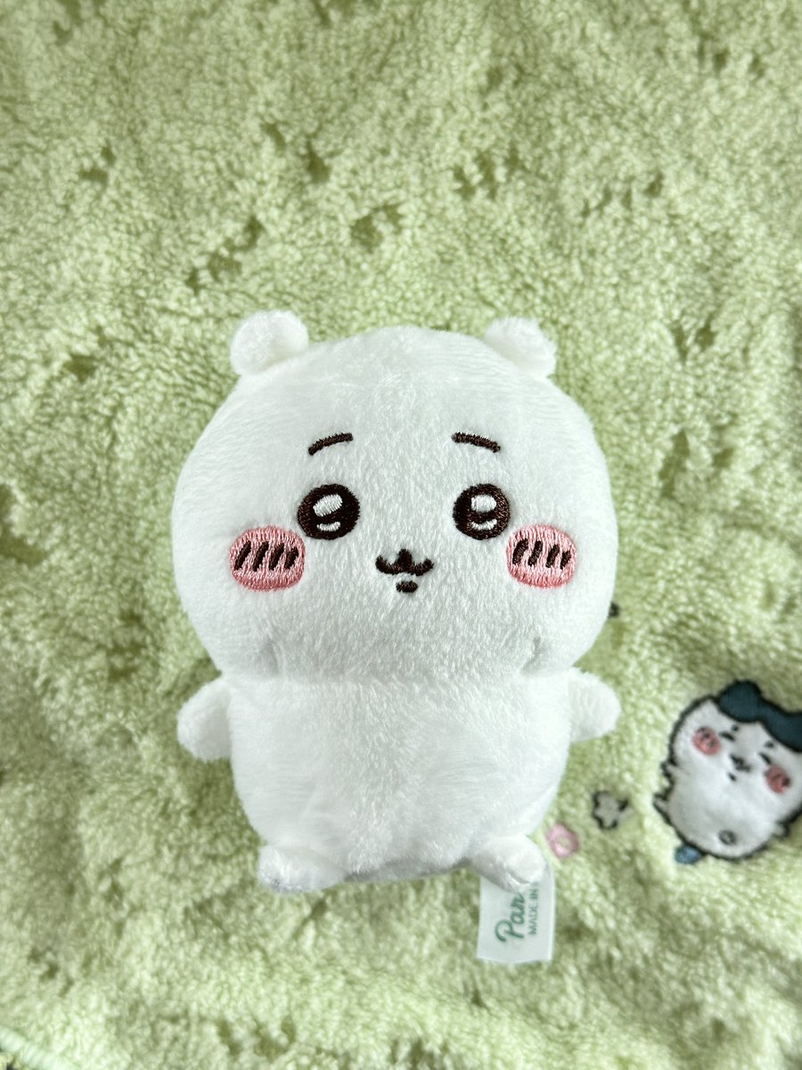 butter_mood's tweet photo. 모몽가와 함께하는 궁극의 동글 누이 만들기 𖤐

🪡 준비물: 성형할 누이, 솜, 바늘, 실 (누이 원단과 동일하면 더 좋음), 가위, ㄱ자 핀셋
🪡 바느질 할줄 알아야함 (유튜브에서 '공그르기' 배우기!)

모몽가가 엄청 예쁜 개체가 와서 참고용 치이사진두 첨부합니다... https://t.co/UU3FLsx85f