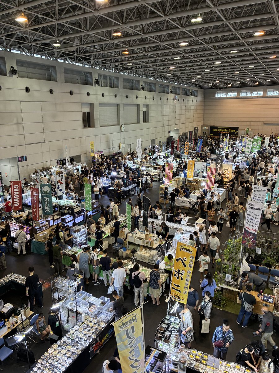 kenjisone2's tweet photo. こんばんは！

本日はジャパンレプタイルズショーに大変沢山のお客様にお越し頂き、お迎え頂きまして誠にありがとうございました。
明日も朝10時から皆様のお越しをお待ちしております。 https://t.co/oZgR6UPNUP