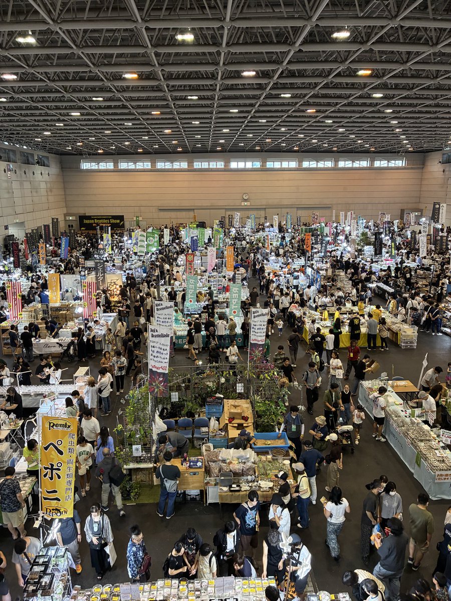 kenjisone2's tweet photo. こんばんは！

本日はジャパンレプタイルズショーに大変沢山のお客様にお越し頂き、お迎え頂きまして誠にありがとうございました。
明日も朝10時から皆様のお越しをお待ちしております。 https://t.co/oZgR6UPNUP