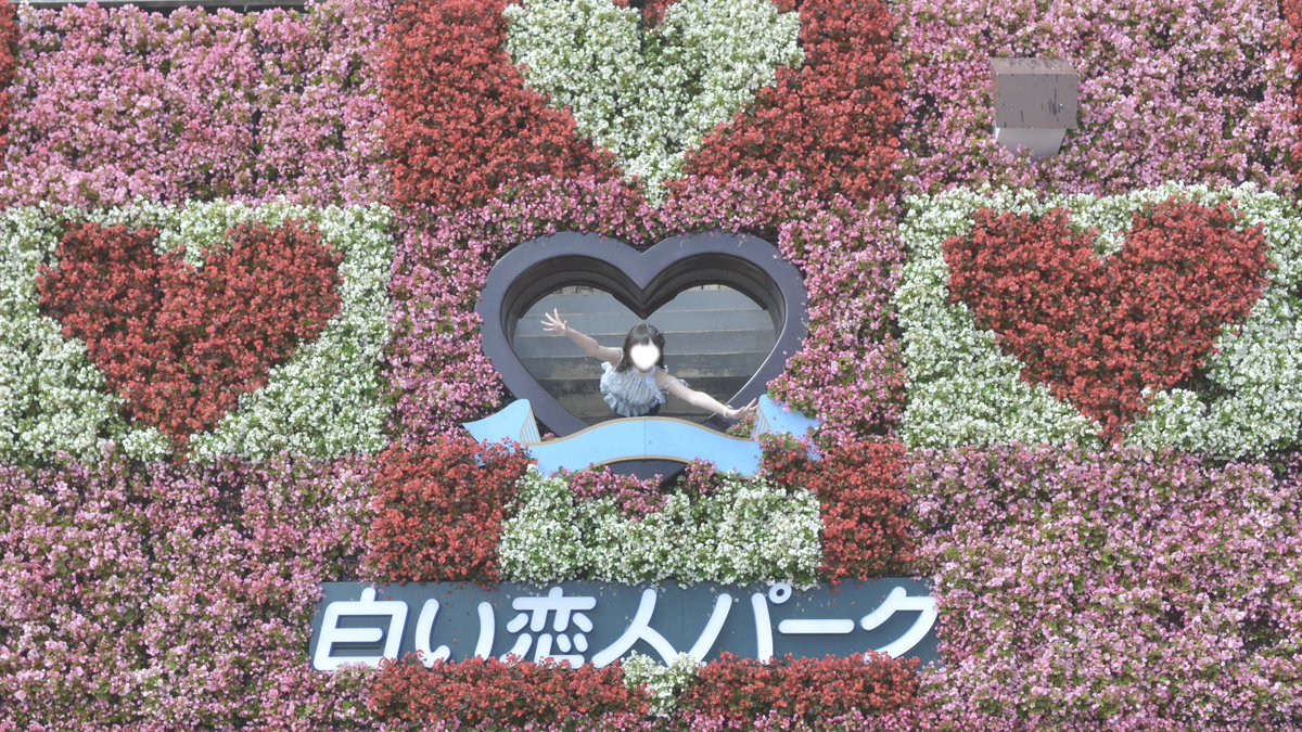 torotamomo's tweet photo. ⬅️白い恋人パーク大満喫したひと https://t.co/F6b8pw4hk2