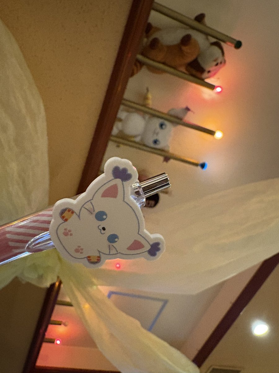 ftsb_mia's tweet photo. 本日もおります🐱 https://t.co/S55ys1A3tt