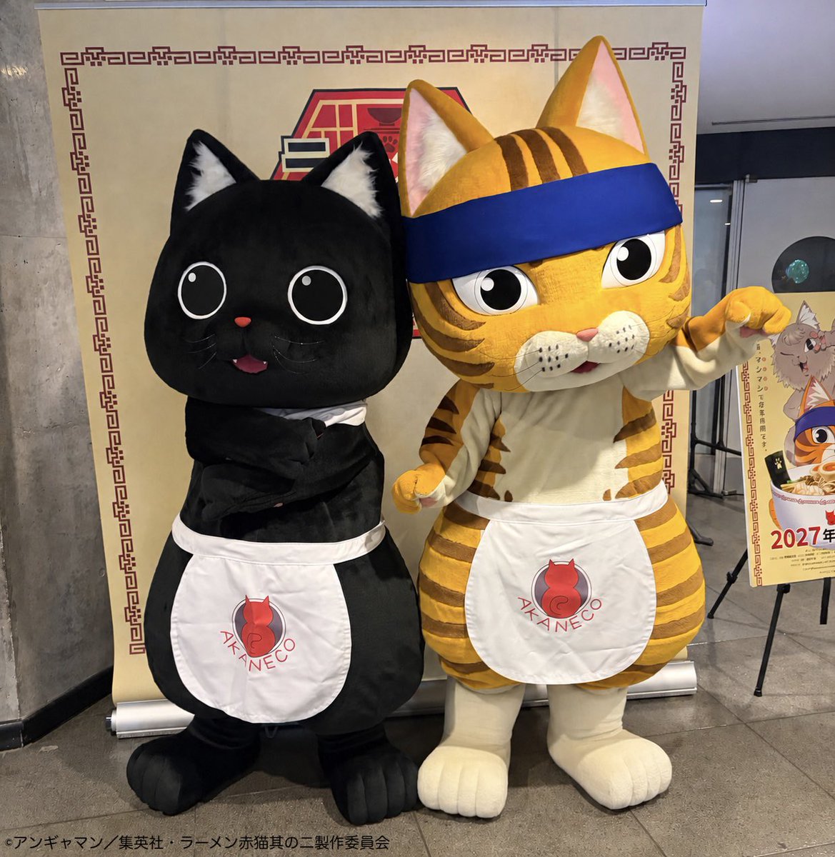ramenakaneko's tweet photo. 🐾 #ねこフェス 1日目終了
￣￣￣￣￣￣￣￣￣￣￣￣￣
皆さんご来店ありがとうございました🏆!!

明日も #着ぐるみ文蔵さん ＆ #着ぐるみサブちゃん のグリーティングを開催🐈🐈‍⬛ さらにメインステージにも登場？！

ご来場いただいた方に先着で
🎁 ティザービジュアルクリアファイル 🎁 ジュエルの名刺　をプレゼント ※無くなり次第終了

ご来店をお待ちしています✨

TVアニメ #ラーメン赤猫 其の二
