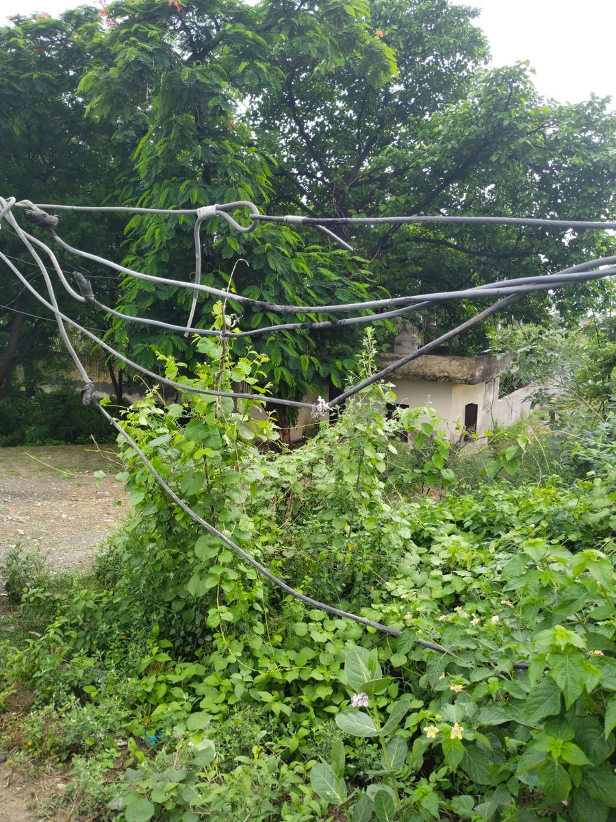SunilKu29343573's tweet photo. @npclgrnoida @UPPCLLKO @CMOfficeUP @EMofficeUP @aksharmaBharat @mduppcl @dmgbnagar @myogiadityanath @dr_maheshsharma @narendramodi @AKSharmaOffice @yadavakhilesh @RahulGandhi एनपीसीएल ट्रांसफॉर्मर नंबर 3200, पवन एनक्लेव के पास सड़क किनारे बिजली के तार खतरनाक रूप से नीचे लटके हुए हैं। कभी भी कोई बड़ी दुर्घटना हो सकती है। एनपीसीएल से आग्रह है कि जनहित और सुरक्षा को ध्यान में रखते हुए तत्काल मौके पर टीम भेजकर इन तारों को सुरक्षित कराया जाए। किसी भी दुर https://t.co/j0Y0uaoYLz