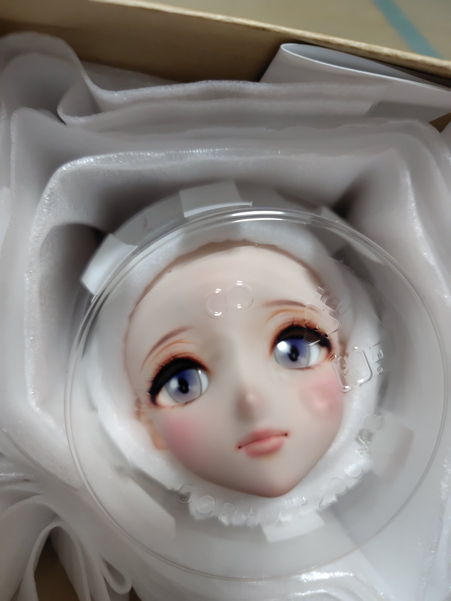 Kucci1976's tweet photo. 昨日2026/07/31
我が家、13人目の娘をお迎えしました。
カタリーナ と命名
#ゆめかっこ
#AzukiMilk
#eternaltreasure https://t.co/bWXedVG35c
