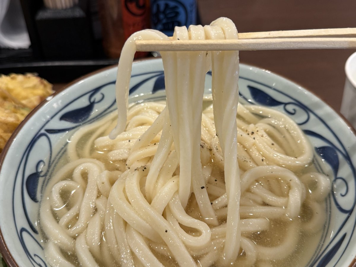 osaka2shin's tweet photo. 丸亀製麺の「旨塩うどん」、個人的にはかなり好きでした。

最近食べた期間限定メニューの中でも上位かもしれません。

あっさりしながら出汁の美味しさ、塩の美味しさが効いていてリピート不可避😳

あっさり系が好きな人ならハマると思うし、天ぷらとの相性も抜群。

みなさんが丸亀製麺に行ったら絶対頼む天ぷらって何ですか？

私は毎回、
 🥚半熟玉子天 🥕野菜かき揚げ 🎋磯部焼き

この3つはかなりの確率で取ってしまいます😂

#グルメ
#丸亀製麺
#旨塩うどん
#期間限定