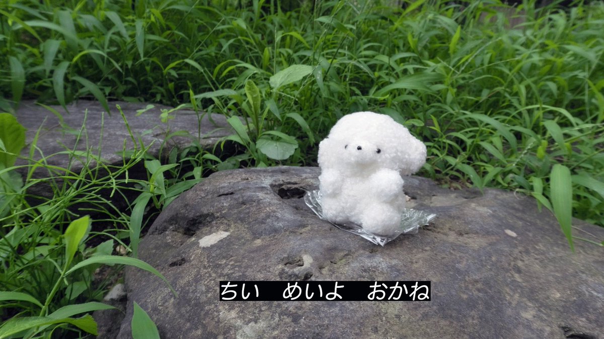 josemaru_model's tweet photo. ぜんぶ　ほちくて　こまる https://t.co/HuVqpPnbKH