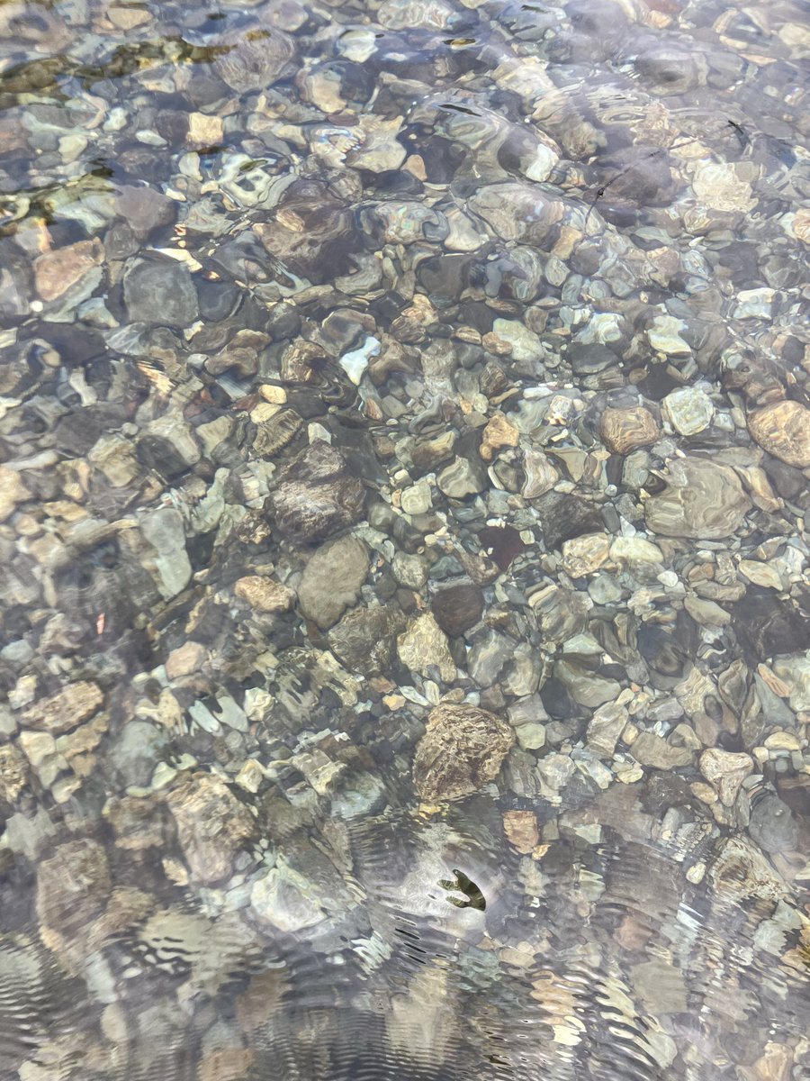 JB23_VSt's tweet photo. 天川村でキャンプ‼︎

正に清流 https://t.co/0vKoh4J6Mk