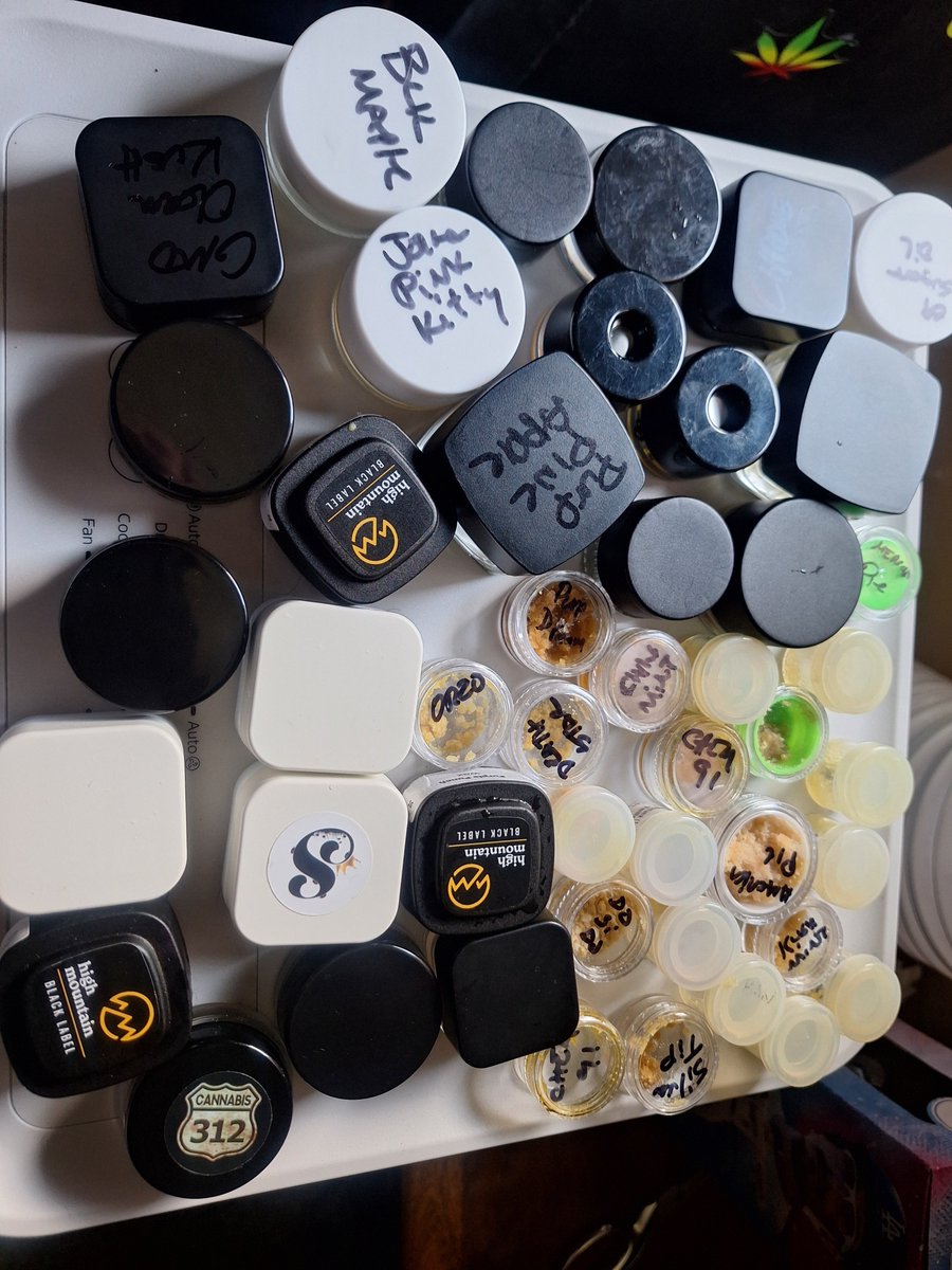 EVAuthoHub's tweet photo. Washington
Weed Seattle Weed Spokane Weed Tacoma Weed Vancouver Weed Bellevue Weed Kent Weed Everett Weed Renton Weed Yakima Weed Federal Way Weed Spokane Valley Weed Bellingham Weed Kennewick Weed Auburn Weed Redmond #VíasChile https://t.co/MzQqMnwHkp