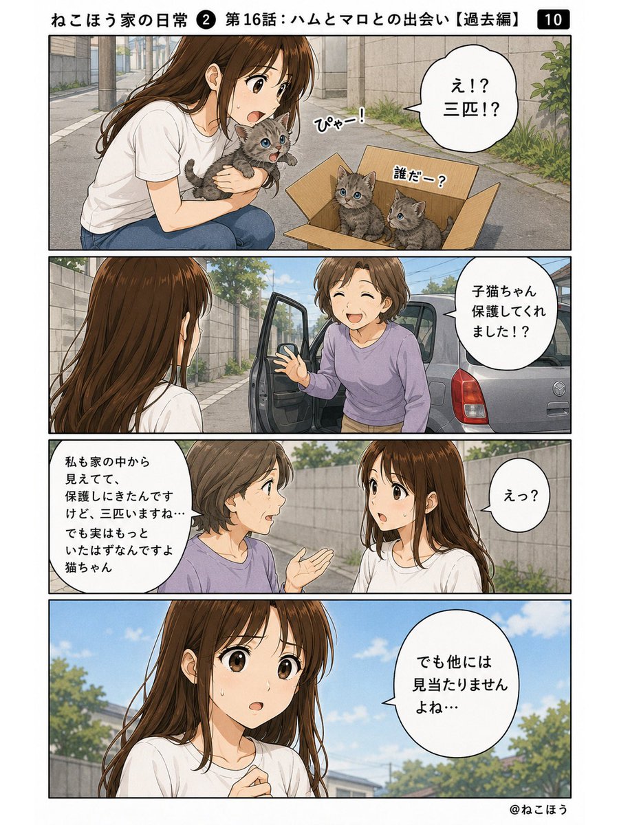 hamaromiko's tweet photo. ねこほう漫画16
ハムマロ出会い🐱3 https://t.co/UGKuGmYEFl