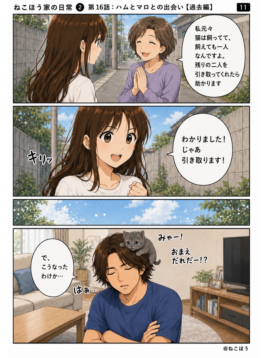 hamaromiko's tweet photo. ねこほう漫画16
ハムマロ出会い🐱3 https://t.co/UGKuGmYEFl