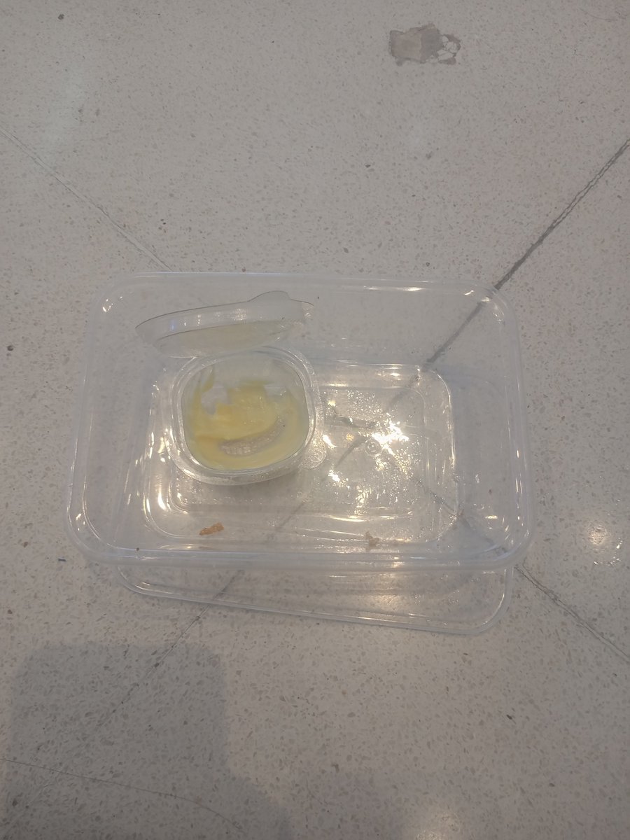 I_Am_LUNG's tweet photo. รีวิวขนมปังที่ได้จากคุณเต้อ

อร่อย ครับ...
อิ่ม ครับ...
สั้นๆได้ใจความ ครับ...

#ม๋าฮันเต้อ https://t.co/usUuvUYMvz