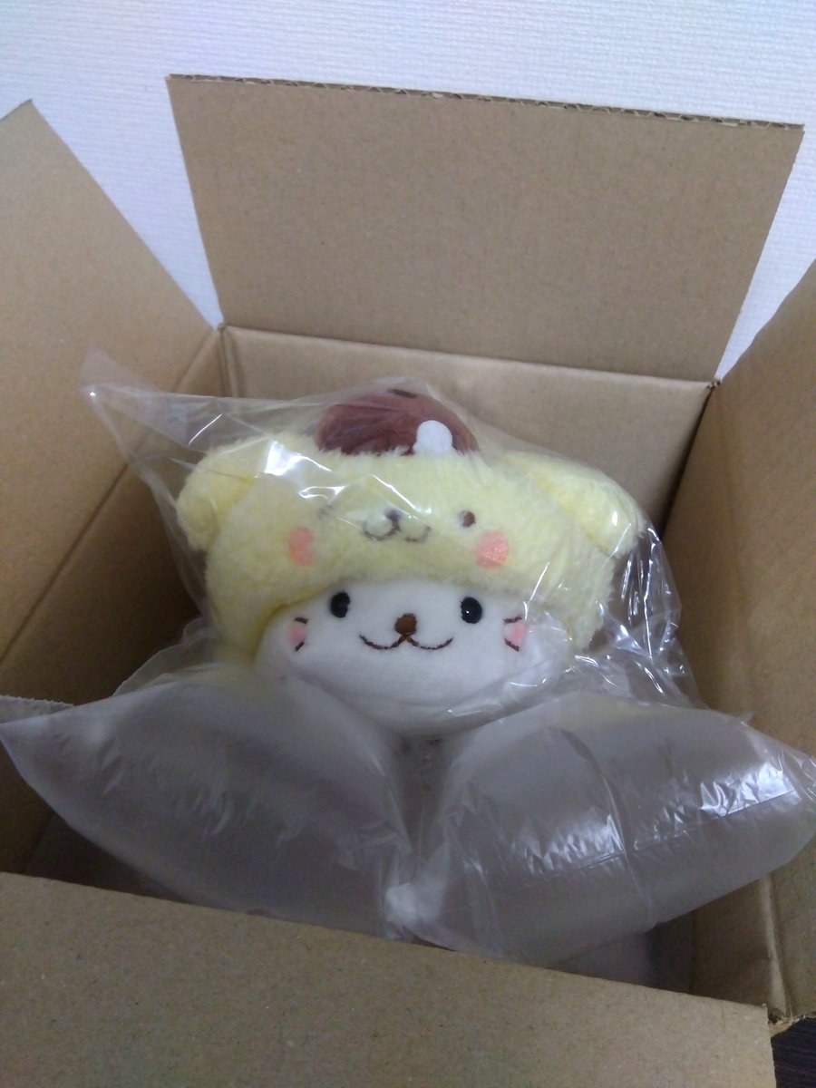 fry_1020's tweet photo. あらま、こんにちは🦭🍮 https://t.co/7NBpr7VJeb