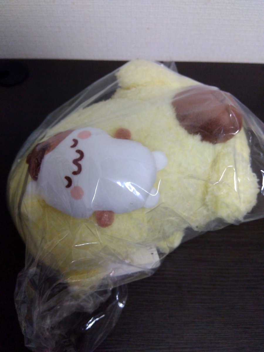 fry_1020's tweet photo. あらま、こんにちは🦭🍮 https://t.co/7NBpr7VJeb