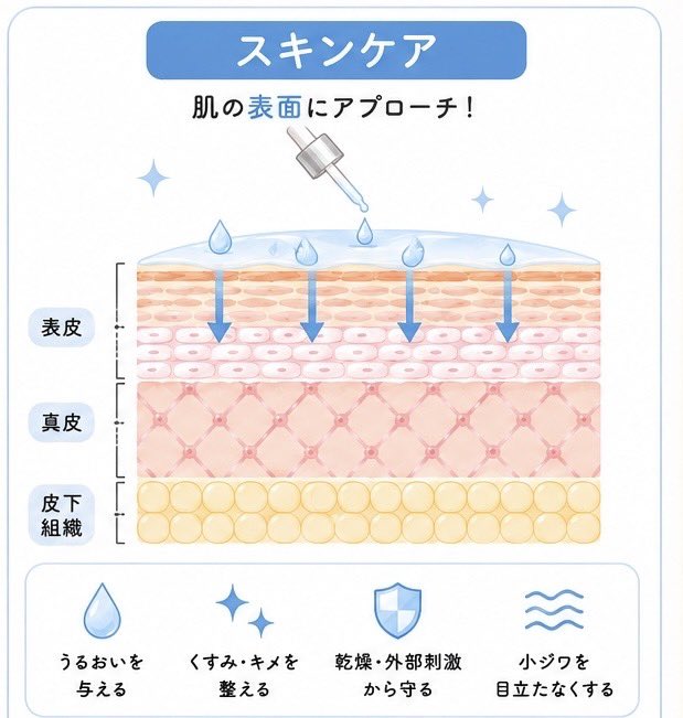 kyoruksas's tweet photo. インナーケアとスキンケアって何が違うの？って思って調べてみた✍️
どっちかじゃなくて両方大事らしい。。頑張る🥹 https://t.co/6VSDp2Kl5e